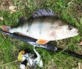 IMG_20221005_210718_493.jpg