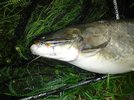 IMG-20170519-WA0012.jpg