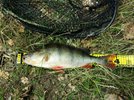 20170610_185150.jpg