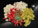 1 Stroganoff 221115 - Kopie.jpg