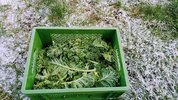IMG_20221119_095959_941.jpg