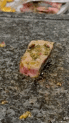 0AEE73F5-3A6B-43CA-93A8-0FA12301D8EA.gif