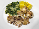 3 Pulpo 221202.jpg