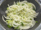 1 Fenchel 221203.jpg