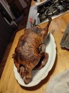 IMG_20221226_190540.jpg