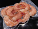 2 Patagonia Shrimps 230124.jpg