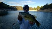IMG-20170630-WA0017.jpg