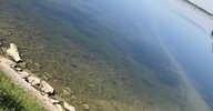 IMG_9765.JPG