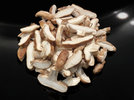 1 Shiitake 230207.jpg