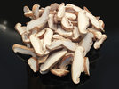 3 Shiitake 230328.jpg