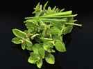 3 Schnittlauch Oregano 230425.jpg