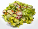 5 Kopfsalat 230520.jpg