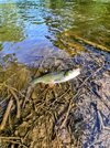 IMG_20230527_084626~2.jpg