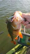 IMG_20230605_070335.jpg