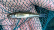 IMG_7245.jpeg
