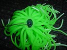 k-DSC00015.JPG k-DSC00015.JPG