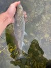IMG_3220.jpeg IMG_3220.jpeg