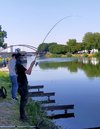 IMG_20230809_165711.jpg