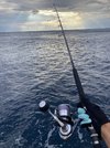 55D27476-25AA-4A74-9244-AA55821B76BF.jpeg