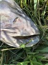 IMG_5869.jpeg