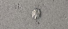 IMG_8272.jpeg