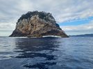 Caste Rock Coromandl.jpg Caste Rock Coromandl.jpg