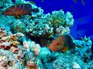 IMG_5680.jpeg