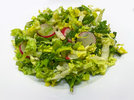 7 Lattich Salat 231122.jpg