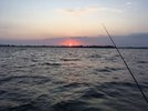 IMG_1474.JPG IMG_1474.JPG