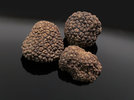 4 Tartufo Nero 231206.jpg