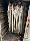 IMG_0564.jpeg