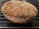 1 Brot 240121.jpg