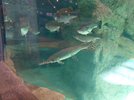 DSC_7141.JPG