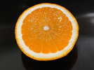 Orange 240208.jpg