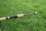 DSC08703.JPG