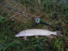 IMG_20171104_160954.jpg