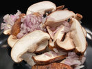 2 Shiitake 240219.jpg