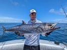 Spanish Mackerel (1).jpg Spanish Mackerel (1).jpg