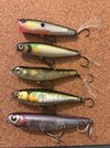 topwater.jpg topwater.jpg