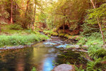 Peaceful-Scene.jpg Peaceful-Scene.jpg