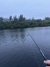 IMG_5359.jpeg