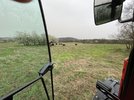 IMG_7496.jpeg