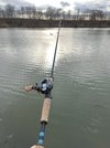 IMG_8771.jpeg