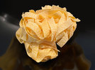 6 Pappardelle 240503.jpg