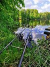 IMG_20240509_170704.jpg