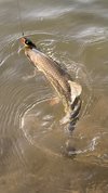 IMG_8587.jpeg