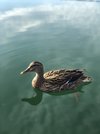 IMG_6522.jpeg