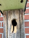 IMG_8247.jpeg
