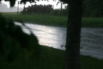 IMG_1697.JPG