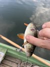 IMG_9868.jpeg